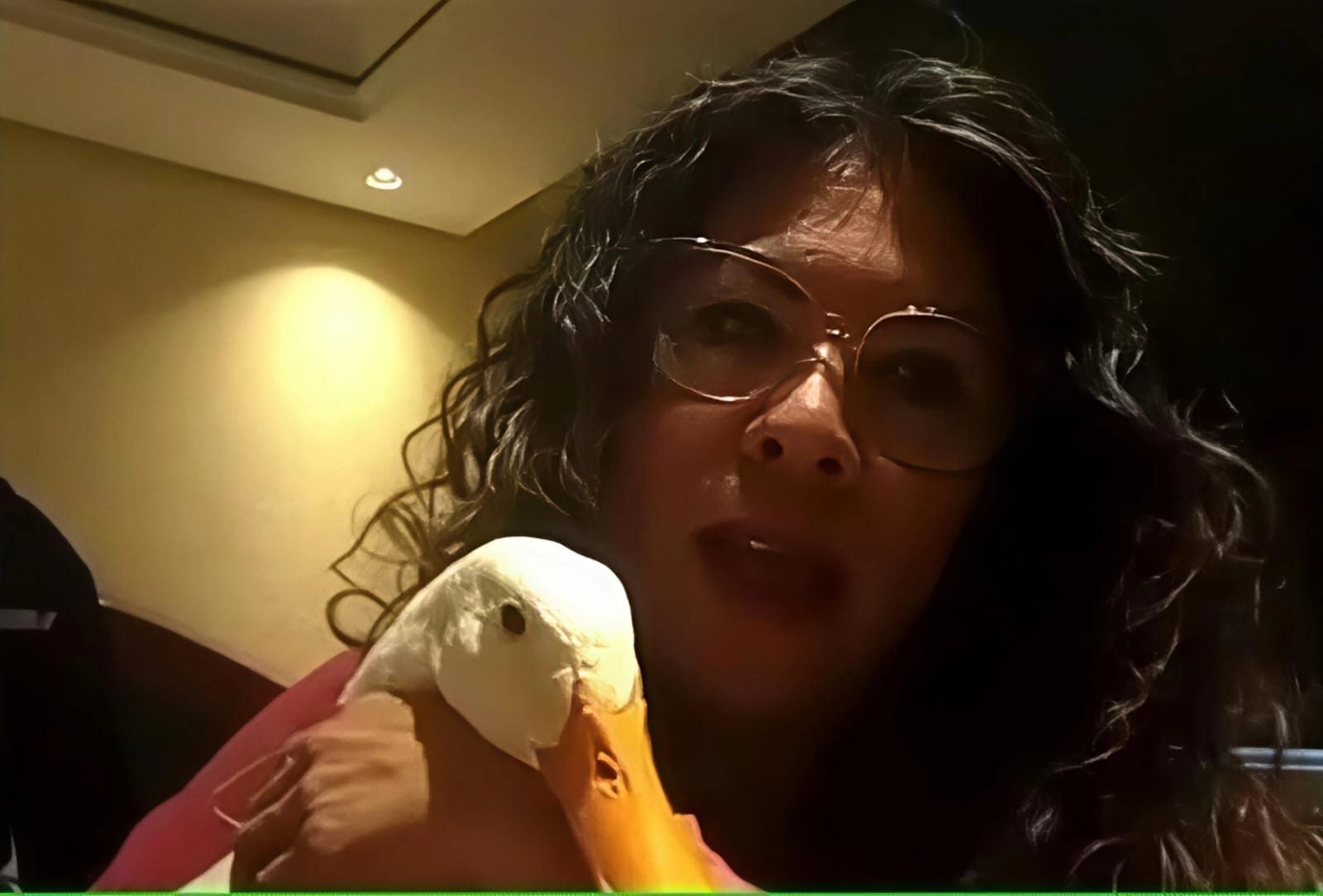 Dan departamento en CDMX a familia del pato 'Merlín'