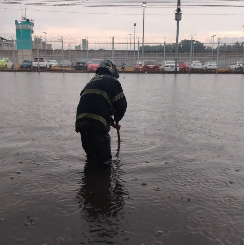 Lluvia nocturna azota la CDMX; deja árboles caídos, postes derribados y calles inundadas