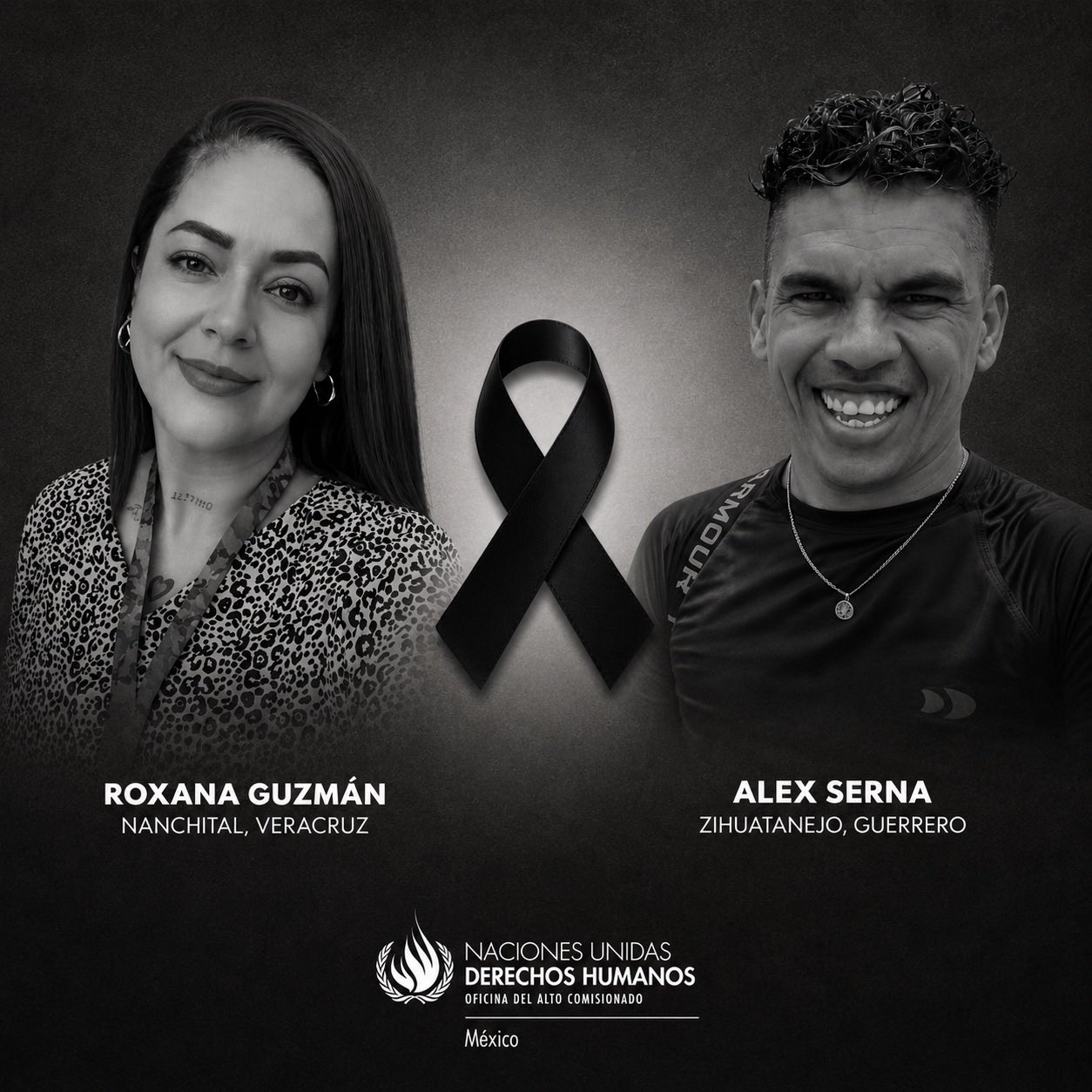 ONU-DH expresa consternación por asesinatos de periodistas en Veracruz y Guerrero