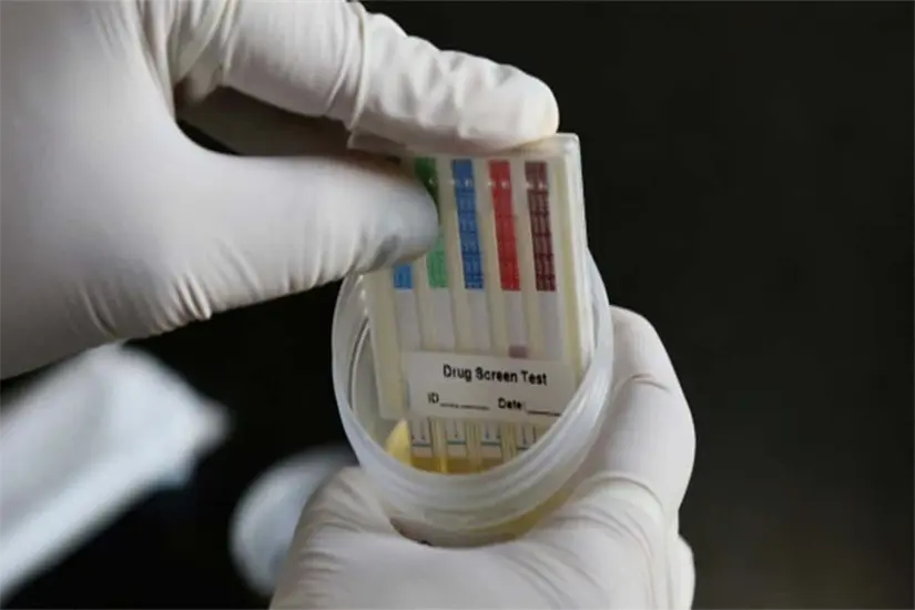 Pedirá el Verde antidoping a futuros candidatos en Tamaulipas