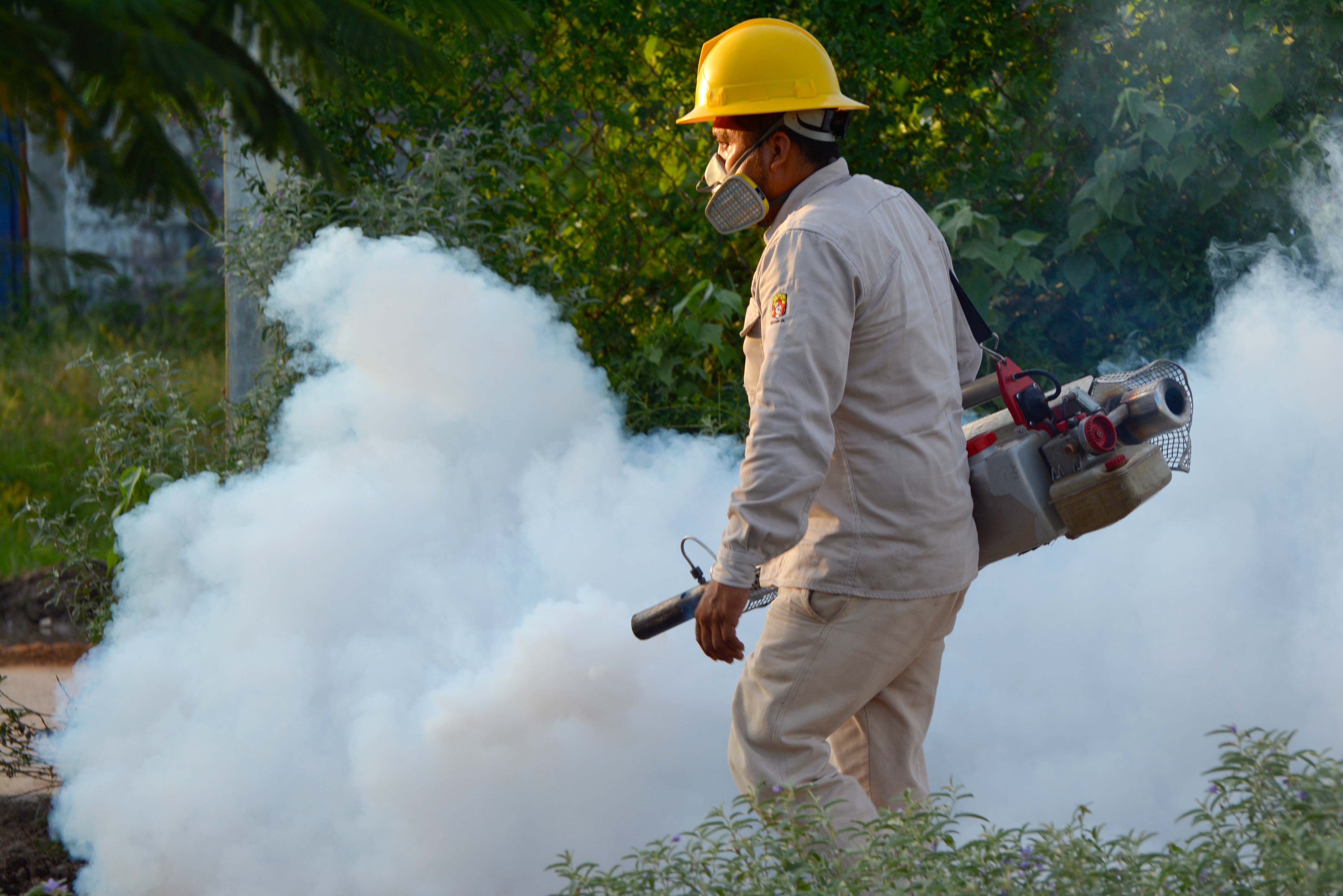 Suman 4 muertos por dengue en Tabasco, Veracruz, Michoacán y Oaxaca