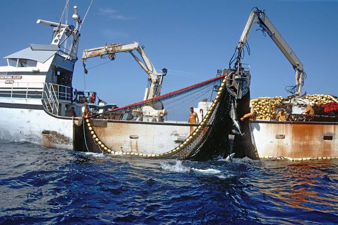 Logra Japón acuerdo para expandir la pesca de atún rojo, tras oposición de México