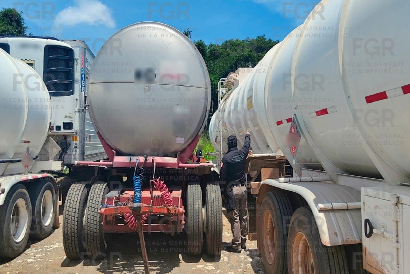 En cateo, asegura FGR 49 vehículos probablemente robados en Veracruz