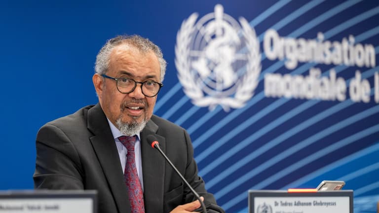 La OMS eleva la alerta por ébola que “se expande rápidamente” en África